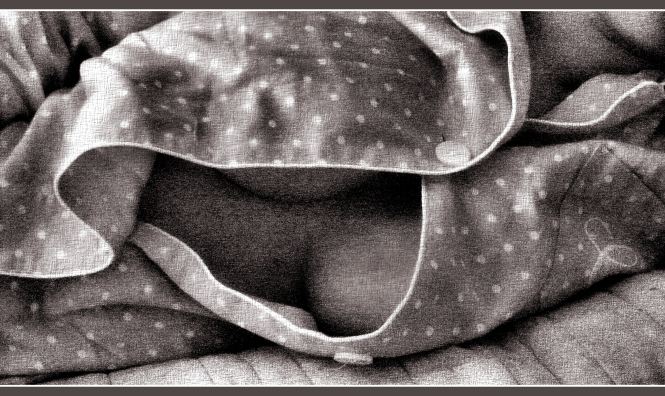 Home 1-5-08 001tintt