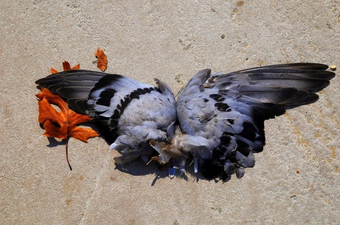 20131005_136_DC_Shutdown-001